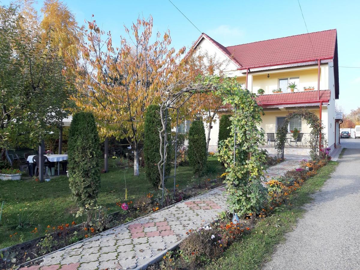 Hotel Steaua Nordului Târgu Neamț Esterno foto