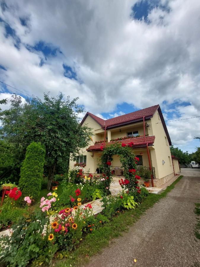 Hotel Steaua Nordului Târgu Neamț Esterno foto